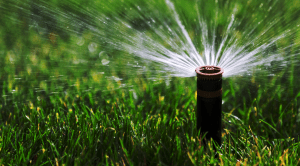 Lawn Sprinkler Services Kingsville