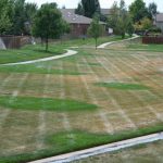 Lawn Sprinkler System Failures