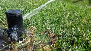 Lawn Sprinkler System Failures